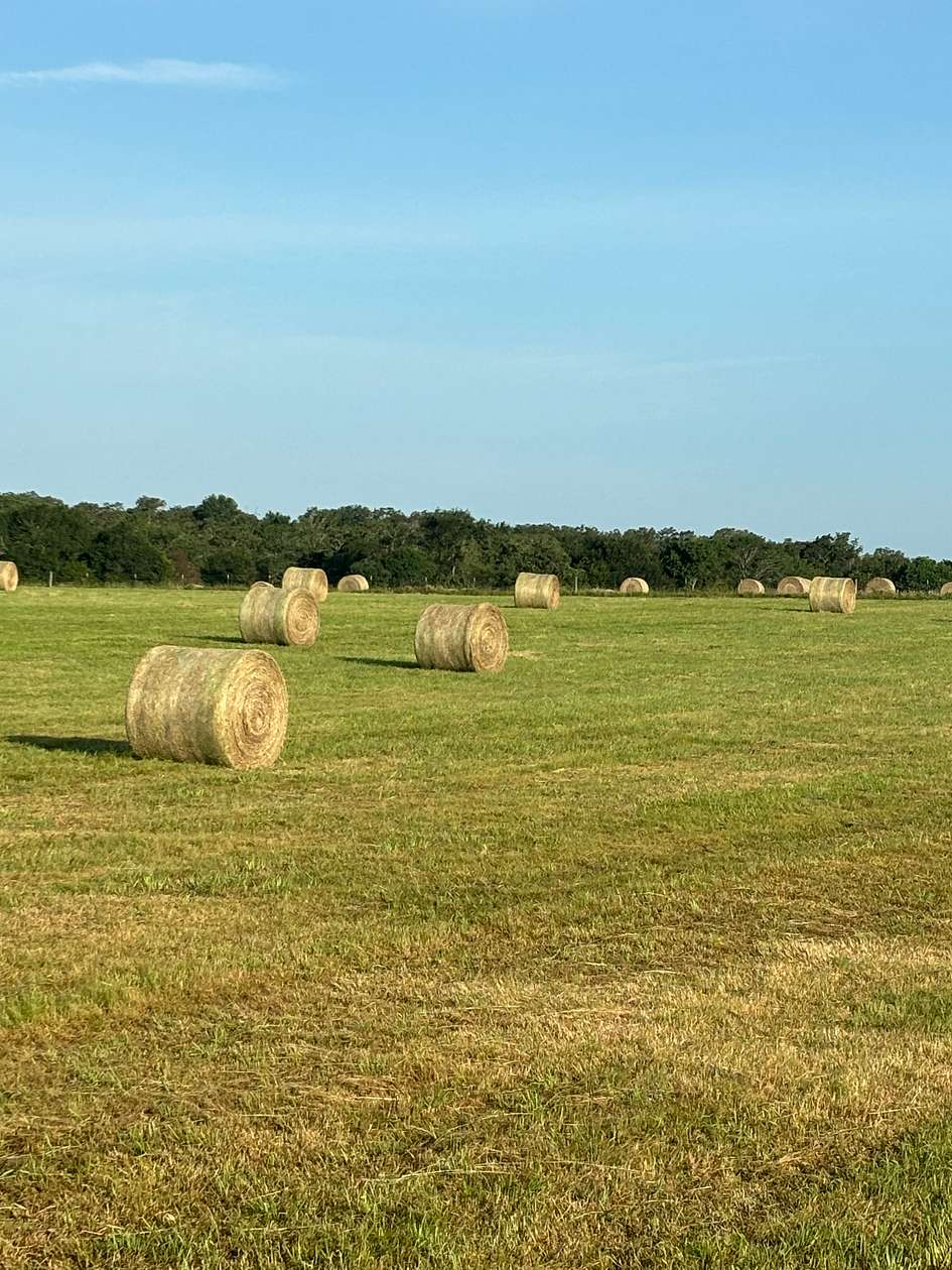 71 Acres of Agricultural Land for Sale in Hearne, Texas