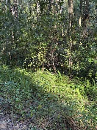 0.23 Acres of Residential Land for Sale in Ocala, Florida