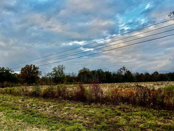 35.53 Acres of Agricultural Land for Sale in Rayville, Louisiana