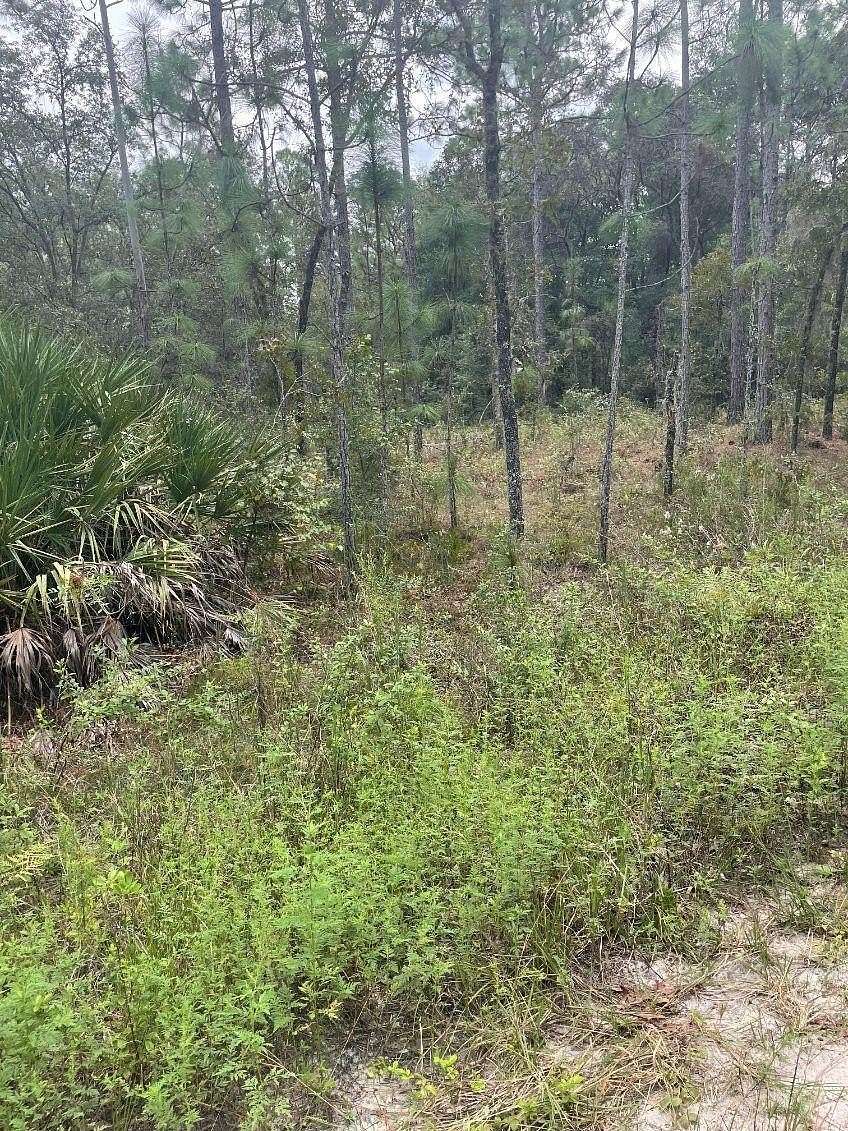 0.24 Acres of Residential Land for Sale in Ocala, Florida