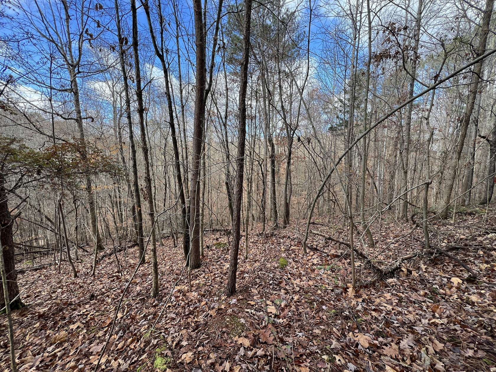 1.17 Acres of Residential Land for Sale in Evensville, Tennessee