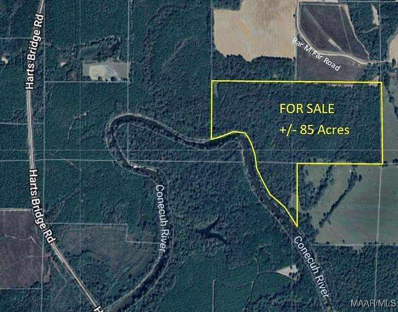 85 Acres of Land for Sale in Andalusia, Alabama