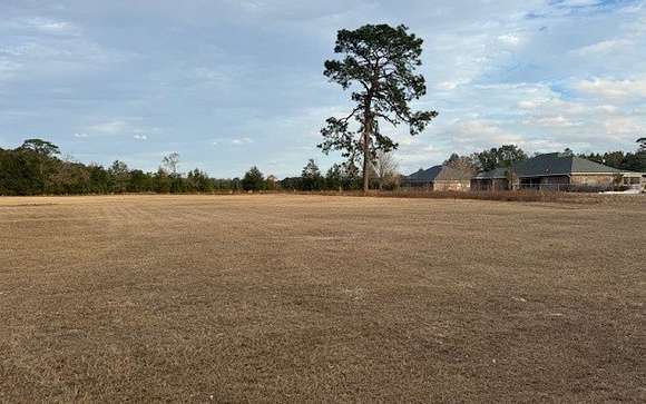 10.99 Acres of Land for Sale in Lake City, Florida