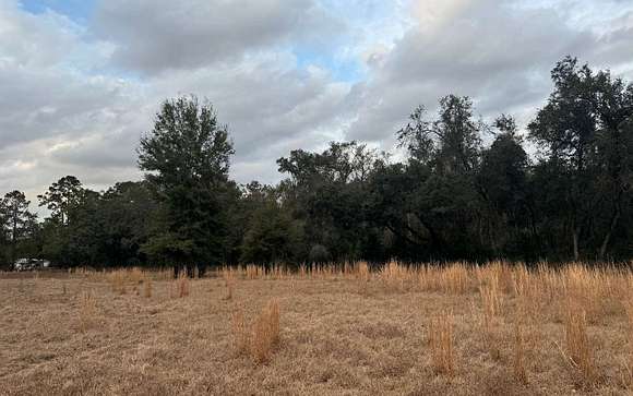 13.15 Acres of Land for Sale in Lake City, Florida