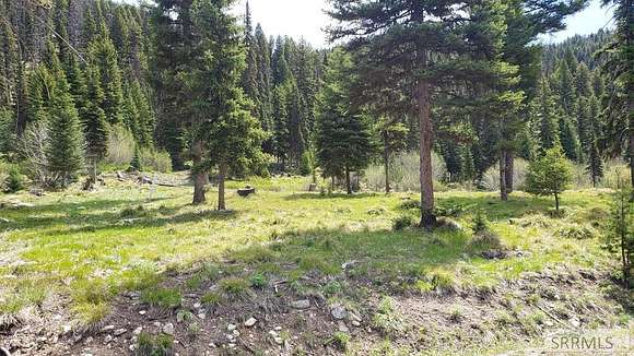 7.553 Acres of Residential Land for Sale in Gibbonsville, Idaho