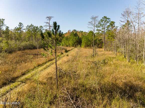 161 Acres of Recreational Land & Farm for Sale in Brunson, South Carolina