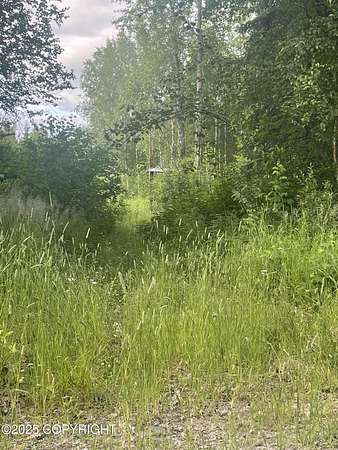 0.58 Acres of Land for Sale in Willow, Alaska