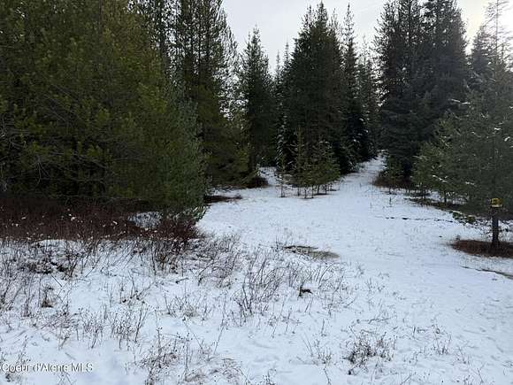 15 Acres of Land for Sale in St. Maries, Idaho