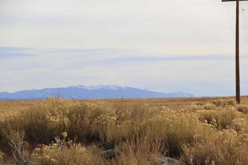 4.54 Acres of Residential Land for Sale in Blanca, Colorado