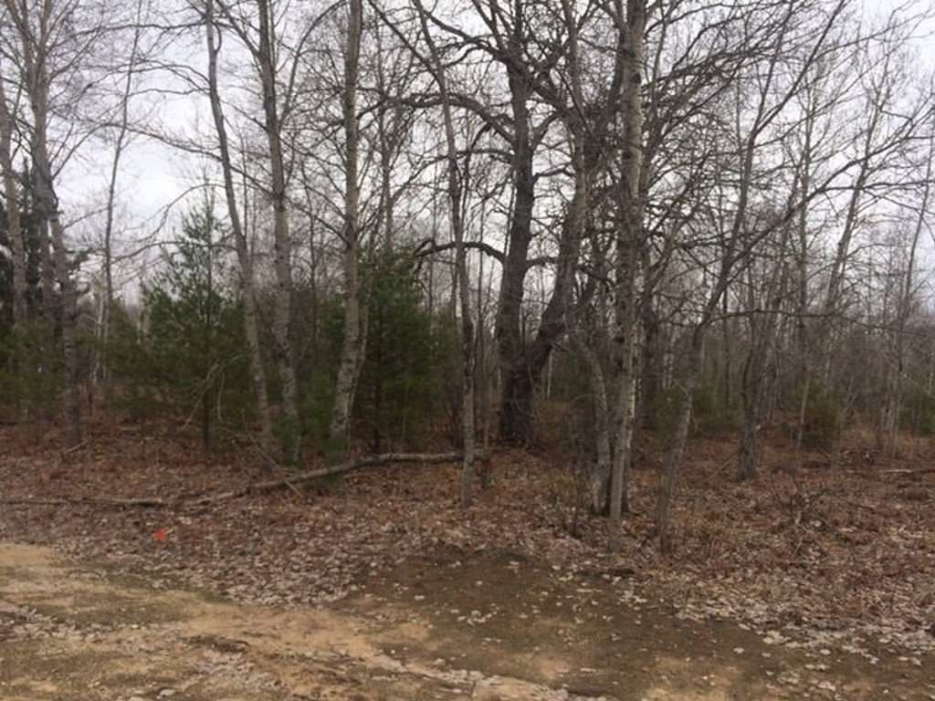 1.19 Acres of Land for Sale in Pellston, Michigan