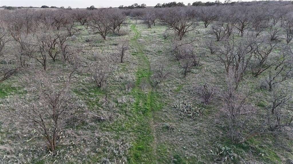 160 Acres of Recreational Land & Farm for Sale in Woodson, Texas