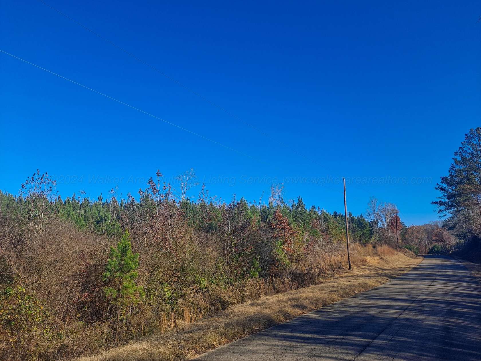 20 Acres of Agricultural Land for Sale in Cordova, Alabama