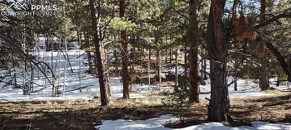 0.48 Acres of Residential Land for Sale in Florissant, Colorado