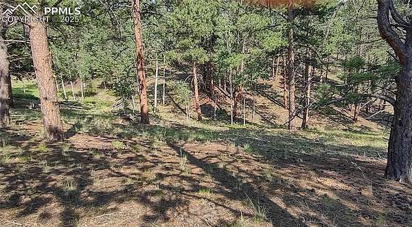 0.48 Acres of Residential Land for Sale in Florissant, Colorado