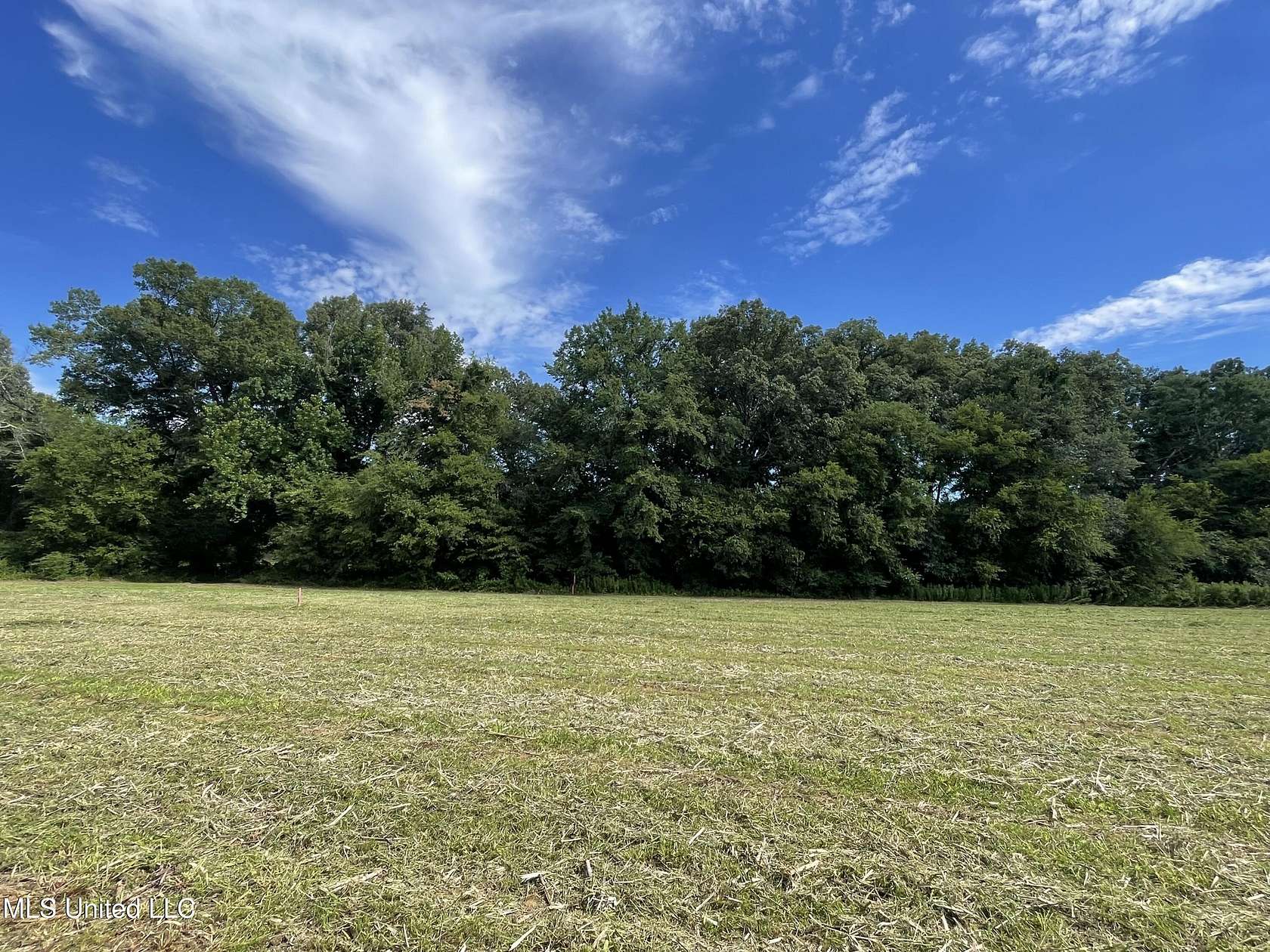 15 Acres of Land for Sale in Canton, Mississippi