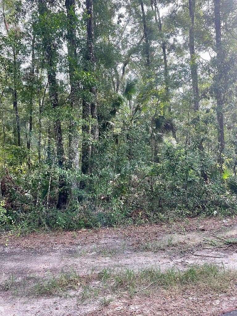 5.54 Acres of Land for Sale in Old Town, Florida