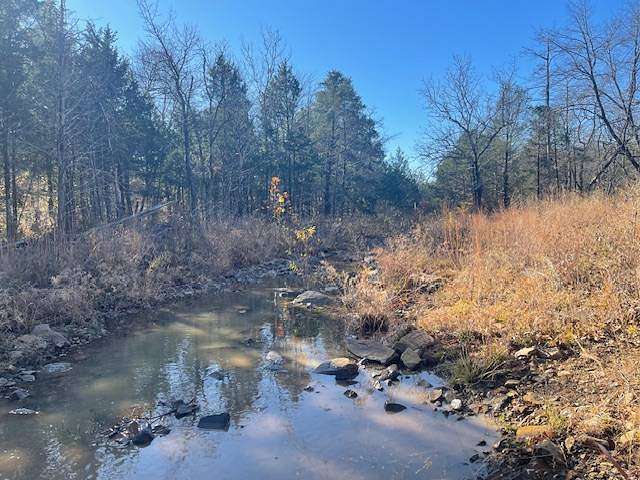 445.22 Acres of Recreational Land for Sale in Yanush, Oklahoma