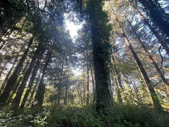 1.25 Acres of Residential Land for Sale in Crescent City, California