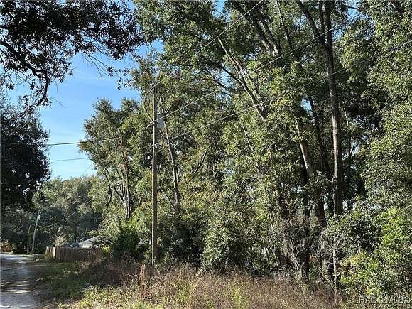 0.23 Acres of Residential Land for Sale in Inverness, Florida