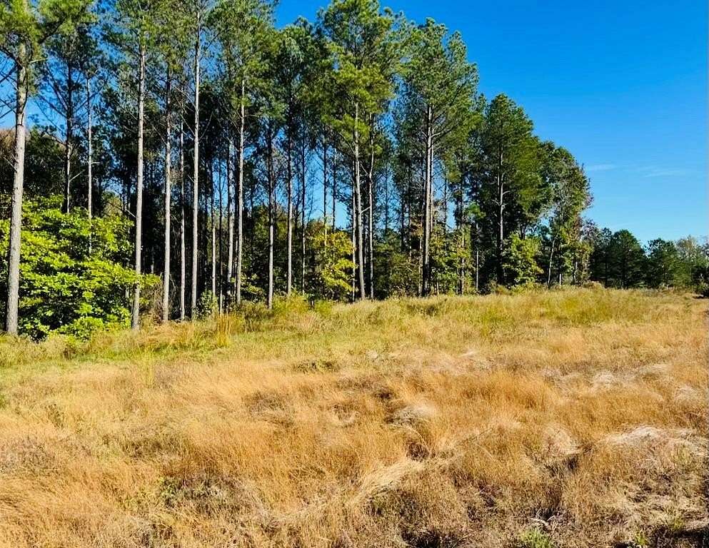 19.5 Acres of Land for Sale in Water Valley, Mississippi