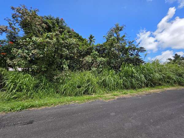 0.34 Acres of Residential Land for Sale in Pahoa, Hawaii