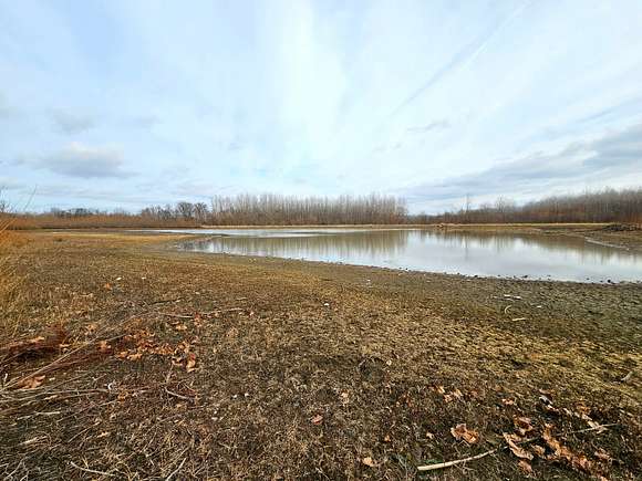 47.06 Acres of Recreational Land for Sale in Marshall, Illinois