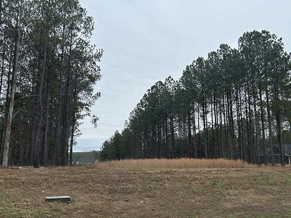 1.11 Acres of Residential Land for Sale in Jasper, Tennessee