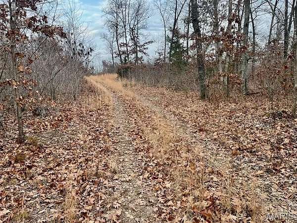 126 Acres of Recreational Land & Farm for Sale in Richwoods, Missouri