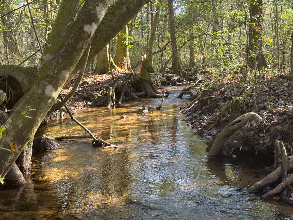 127 Acres of Recreational Land & Farm for Sale in Box Springs, Georgia