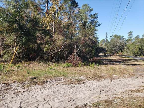 0.48 Acres of Residential Land for Sale in Paisley, Florida