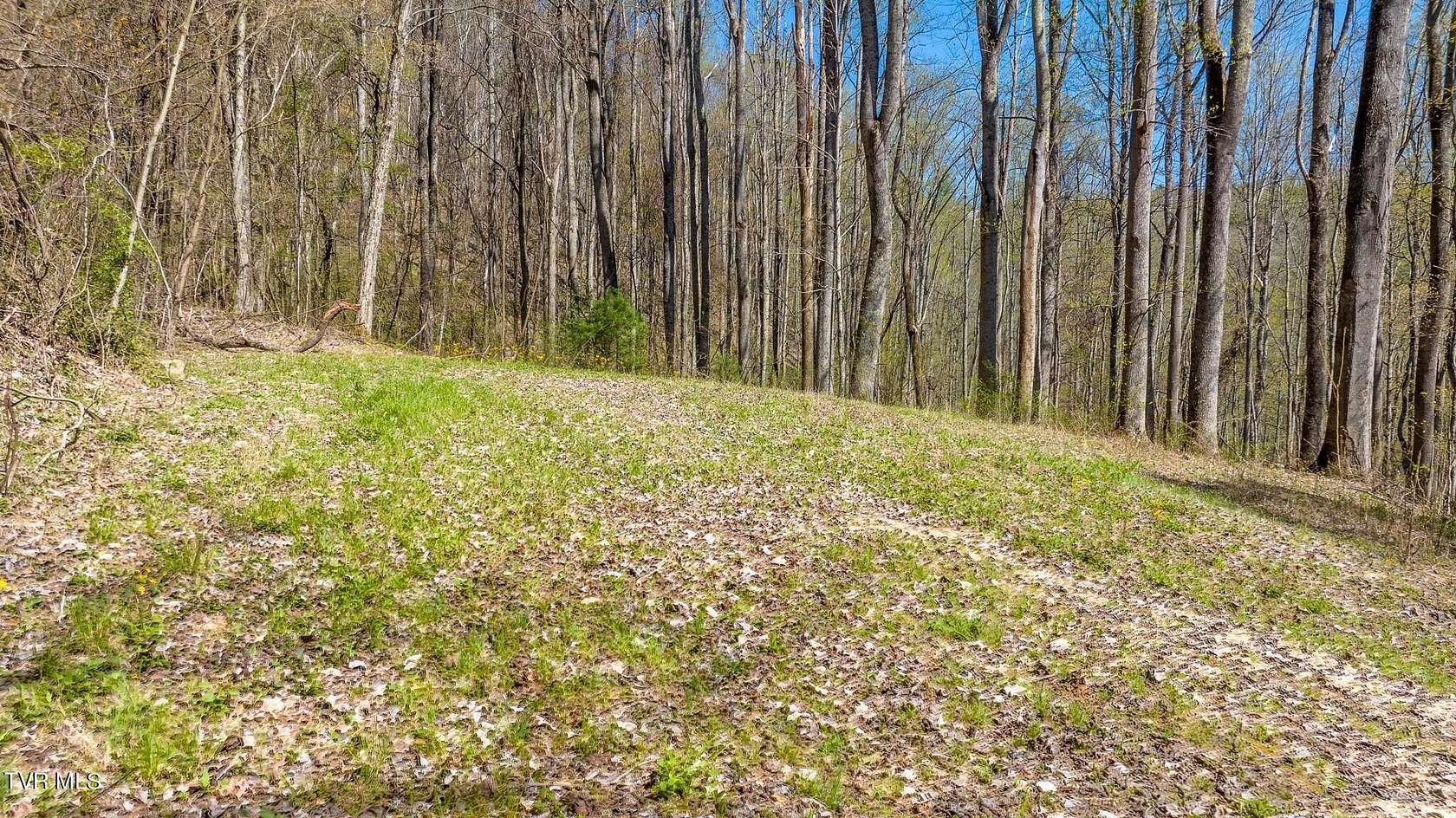 6.37 Acres of Residential Land for Sale in Butler, Tennessee