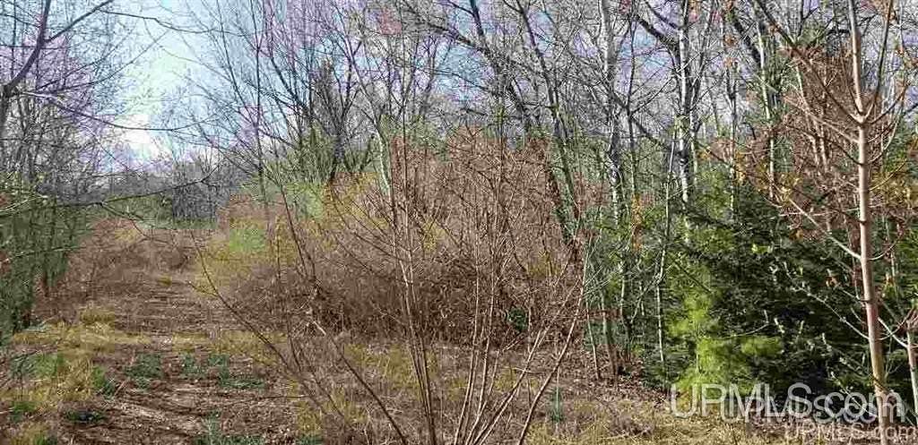 0.53 Acres of Residential Land for Sale in Ontonagon, Michigan