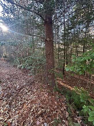 2.31 Acres of Residential Land for Sale in Murphy, North Carolina