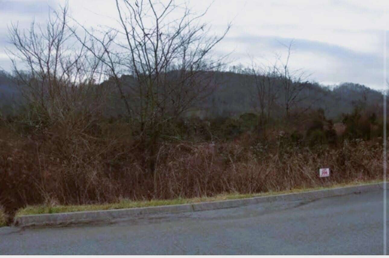 0.49 Acres of Residential Land for Sale in Tazewell, Tennessee