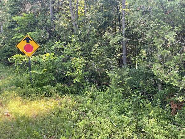 10.9 Acres of Land for Sale in Levant, Maine