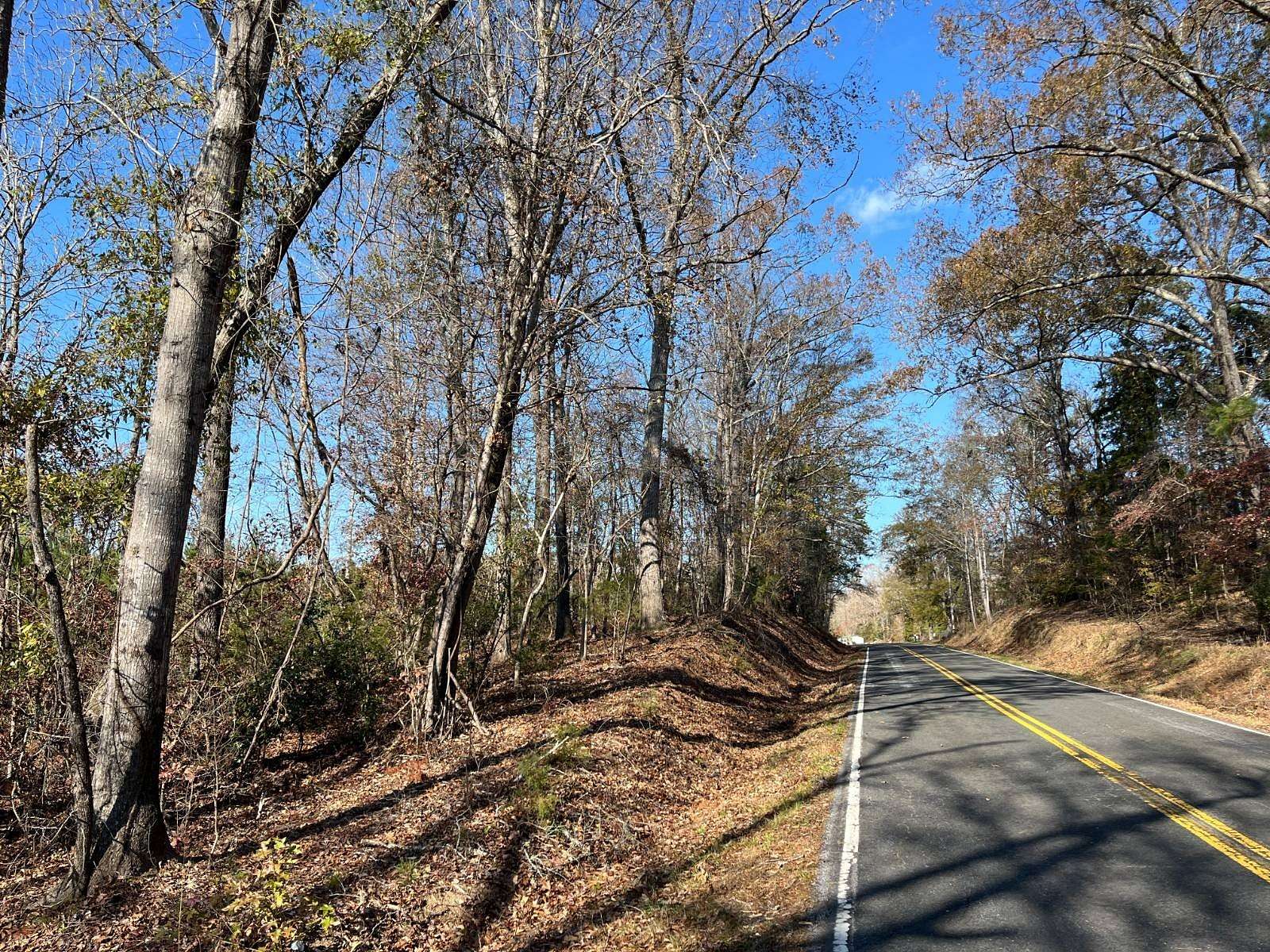 167.63 Acres of Recreational Land for Sale in Waterloo, South Carolina