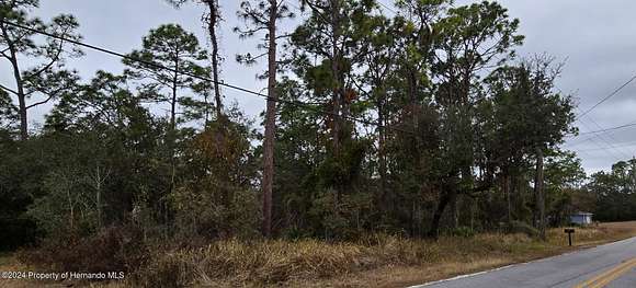 0.5 Acres of Residential Land for Sale in Spring Hill, Florida