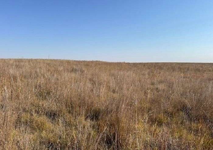 198 Acres of Recreational Land & Farm for Sale in Laverne, Oklahoma