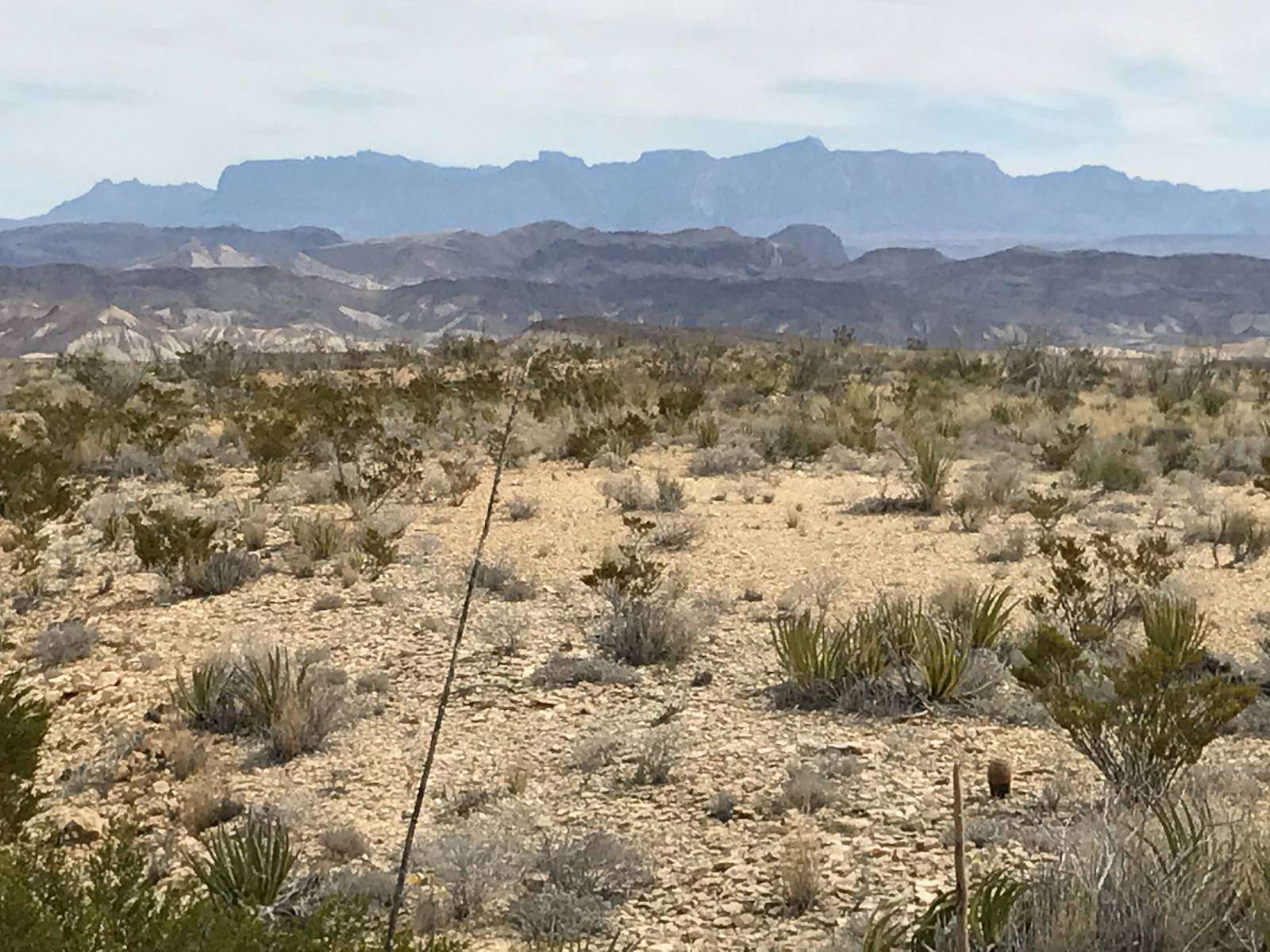 20 Acres of Recreational Land for Sale in Terlingua, Texas