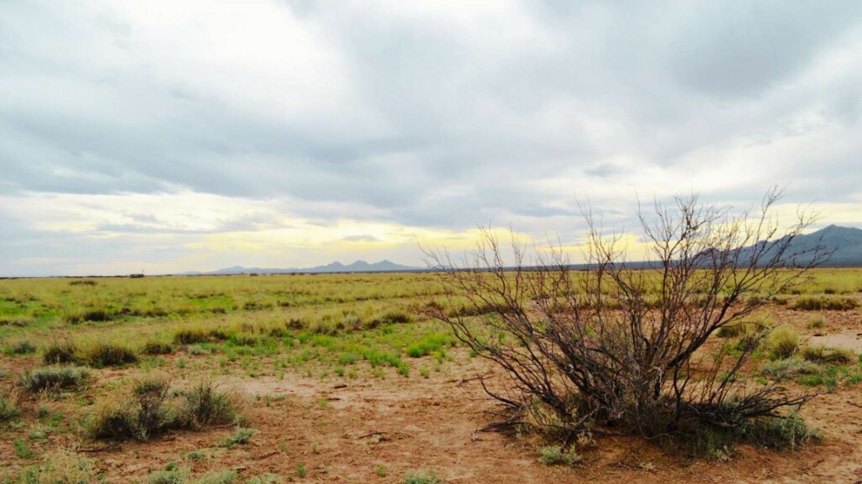 0.5 Acres of Residential Land for Sale in Deming, New Mexico