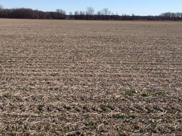 38 Acres of Agricultural Land for Auction in Saginaw, Michigan