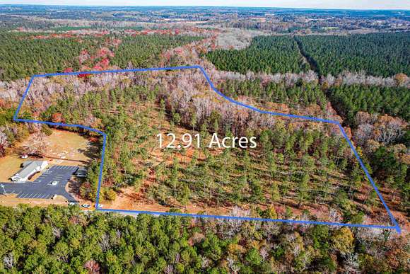 12.91 Acres of Recreational Land for Sale in White Plains, Georgia