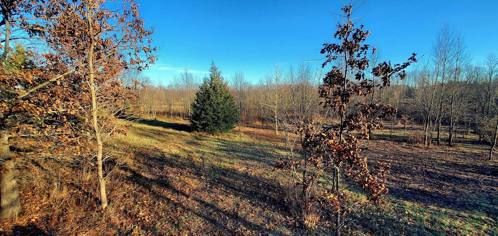 1.36 Acres of Residential Land for Sale in East Leroy, Michigan