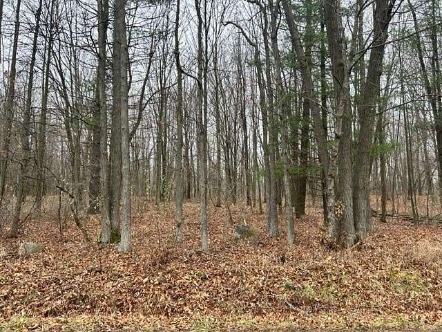 11.21 Acres of Land for Sale in Stockbridge, Michigan