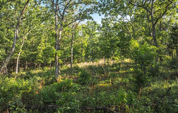 38 Acres of Recreational Land for Sale in Ellington, Missouri