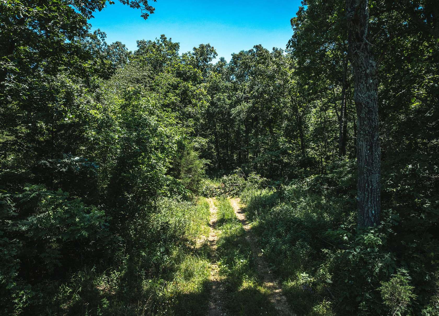 13 Acres of Recreational Land for Sale in Ellington, Missouri