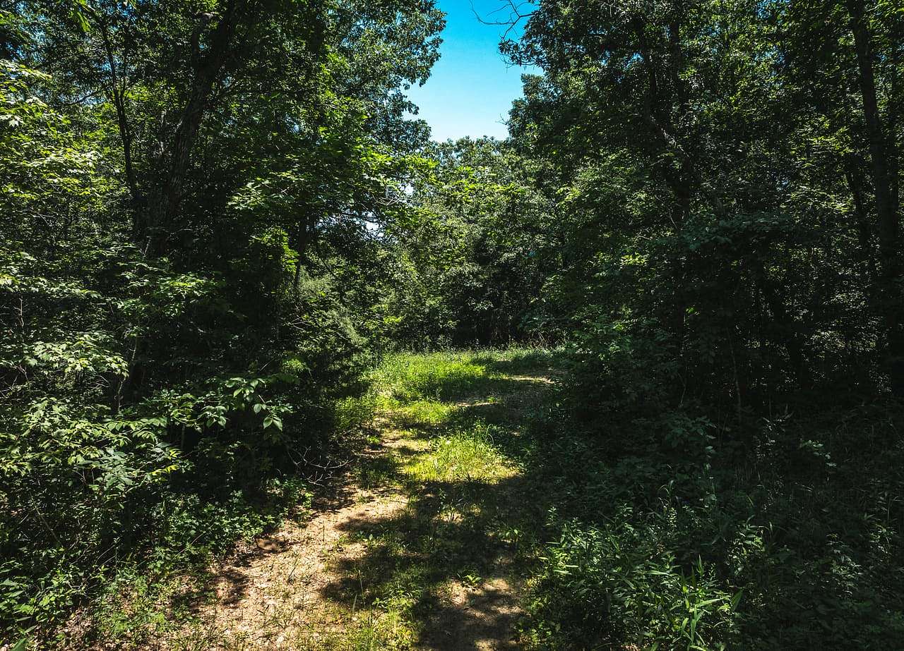 13 Acres of Recreational Land for Sale in Ellington, Missouri