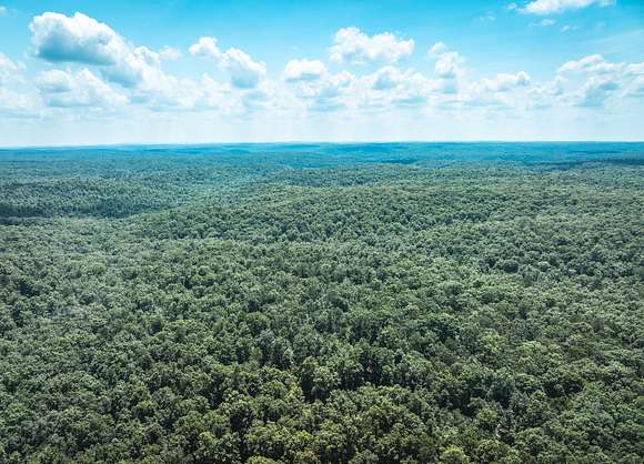 65 Acres of Recreational Land for Sale in Ellington, Missouri