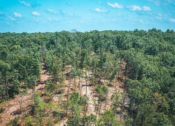 54 Acres of Recreational Land for Sale in Ellington, Missouri