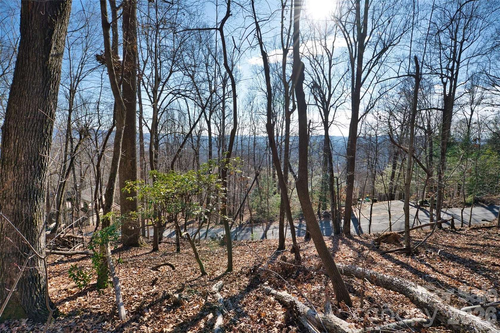 1 Acre of Residential Land for Sale in Mills River, North Carolina